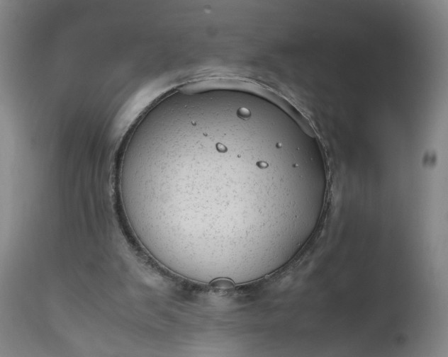 X0000110910103200907021444