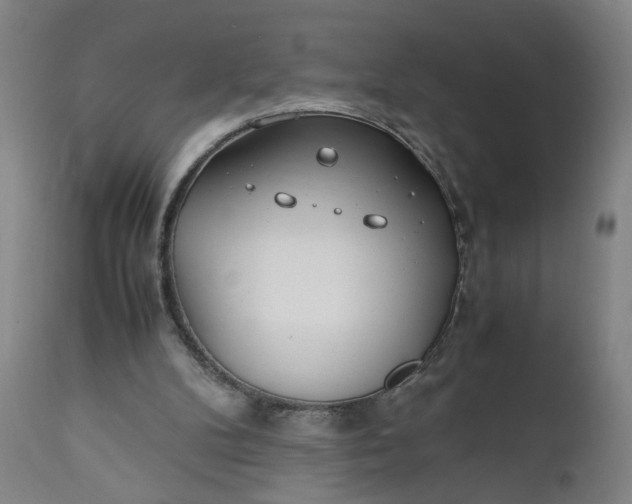 X0000110910104200907021444