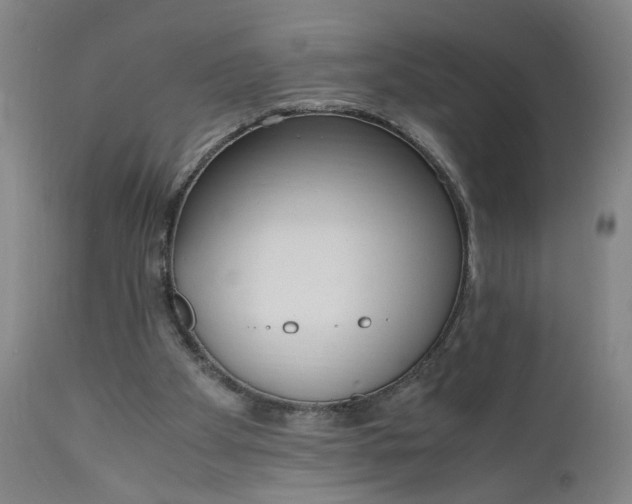 X0000110910105200907021444