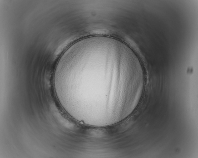 X0000110910106200907021444