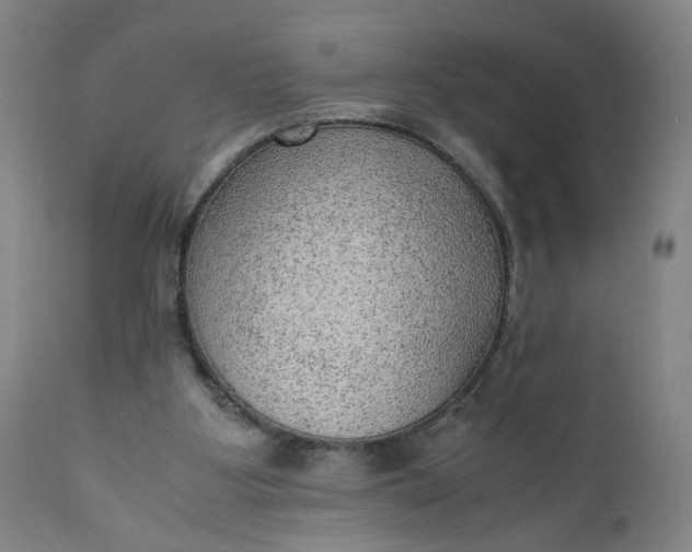 X0000110910107200907021444