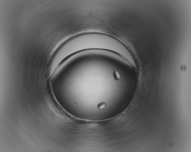 X0000110910108200907021444