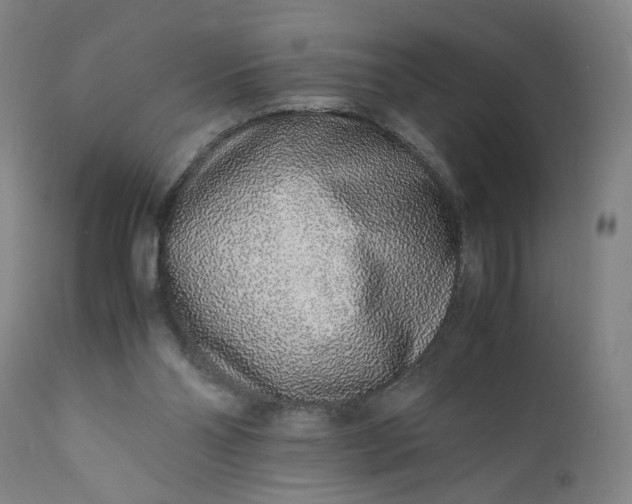 X0000110910110200907021444