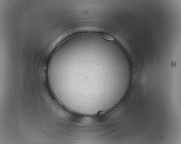 X0000110910111200907021444