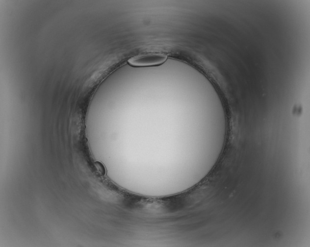 X0000110910113200907021444