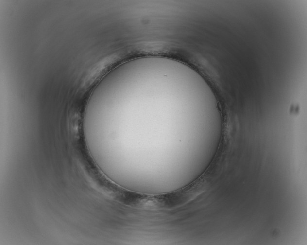 X0000110910115200907021444