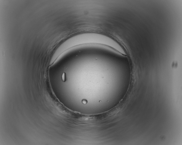 X0000110910117200907021444