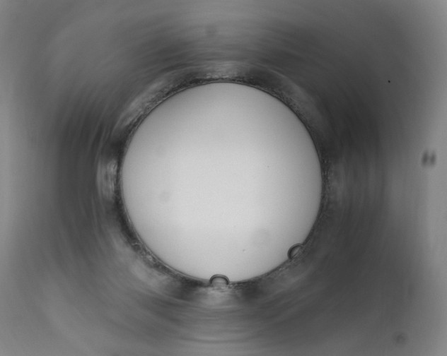 X0000110910118200907021444