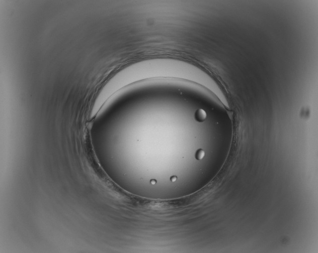 X0000110910121200907021444