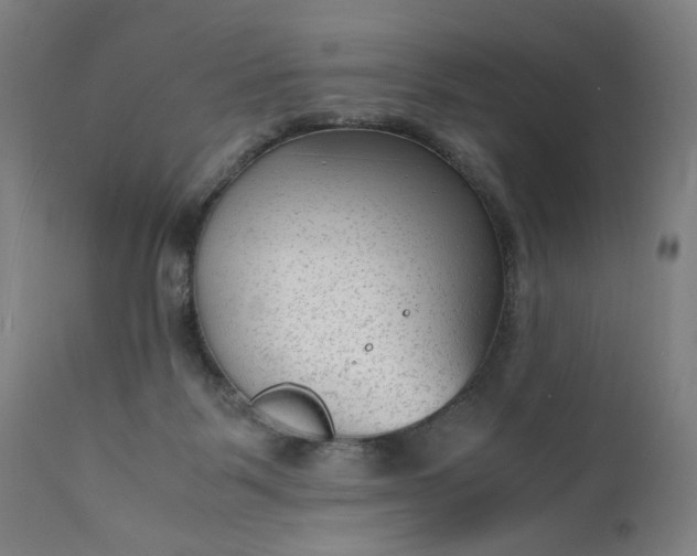 X0000110910123200907021444