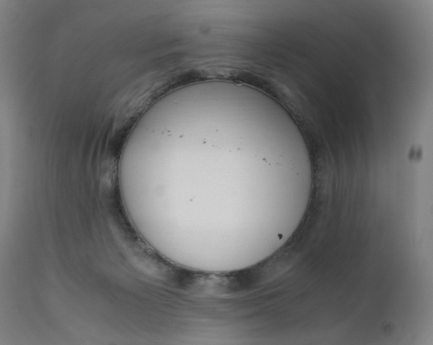 X0000110910125200907021444