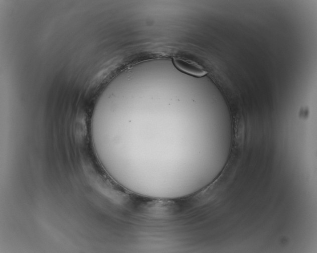 X0000110910128200907021444