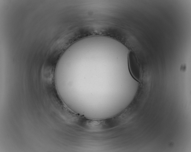 X0000110910129200907021444