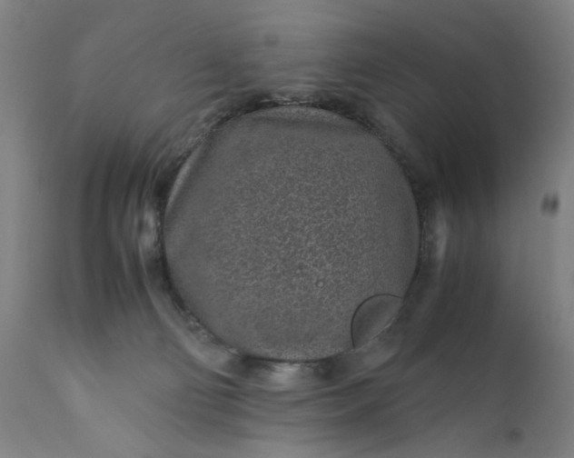 X0000110910130200907021444