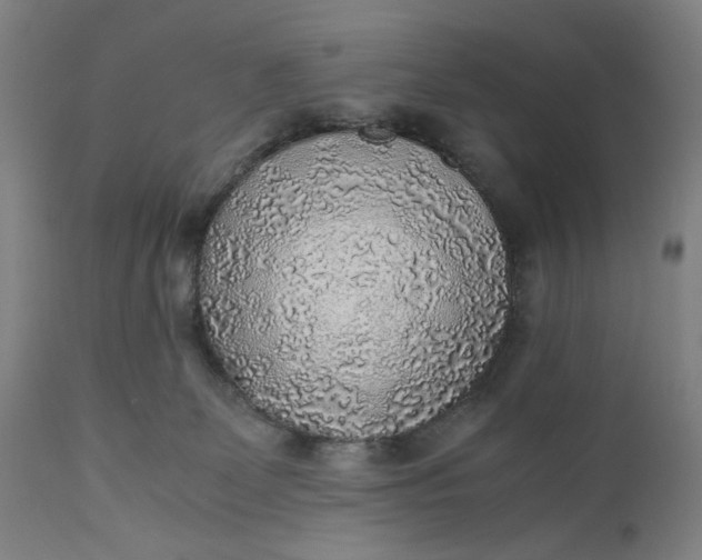 X0000110910131200907021444