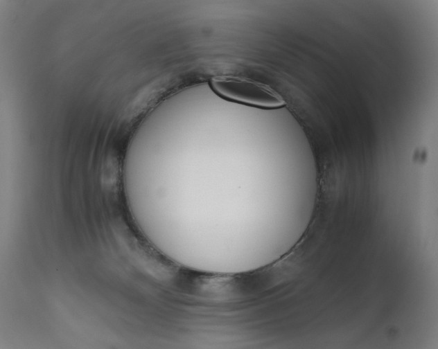 X0000110910132200907021444