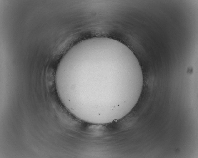 X0000110910133200907021444