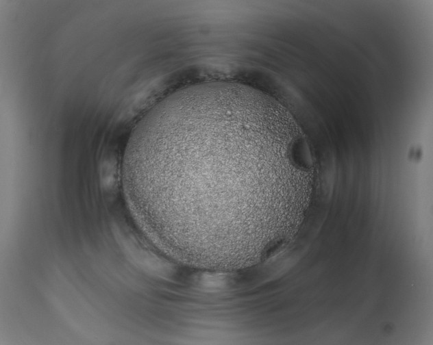 X0000110910134200907021444