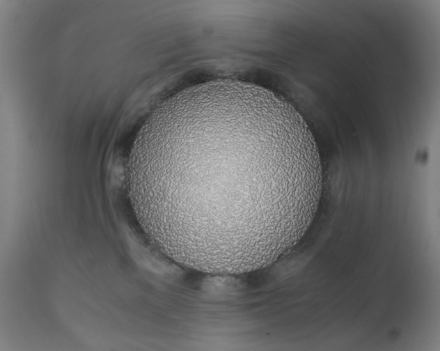 X0000110910137200907021444