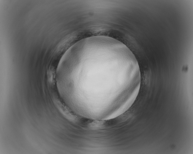 X0000110910138200907021444