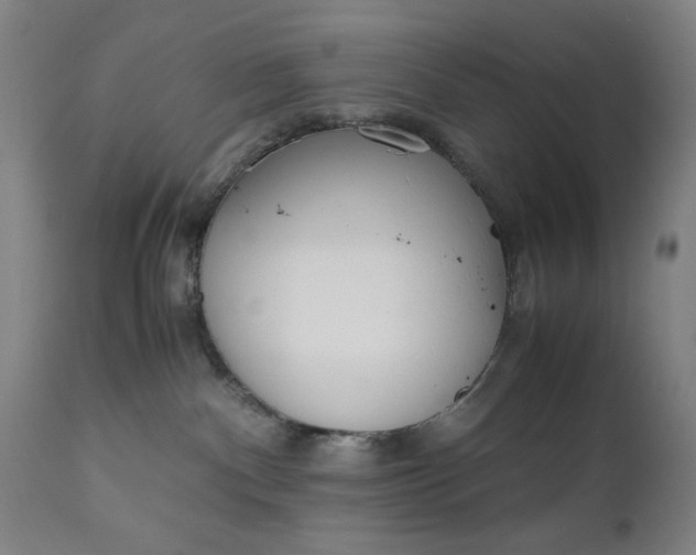 X0000110910140200907021444