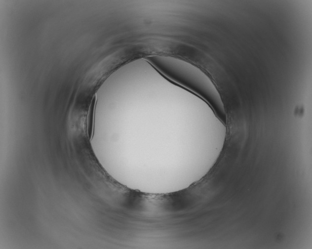 X0000110910141200907021444