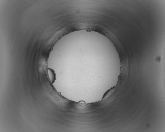 X0000110910142200907021444