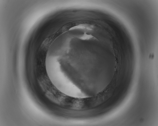 X0000110910143200907021444