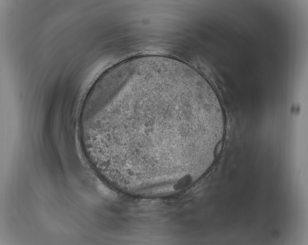 X0000110910145200907021443