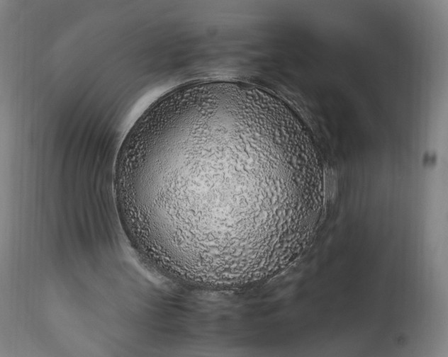 X0000110910147200907021443