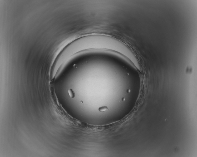 X0000110910148200907021443