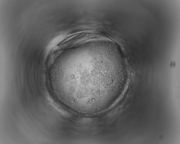 X0000110910149200907021443