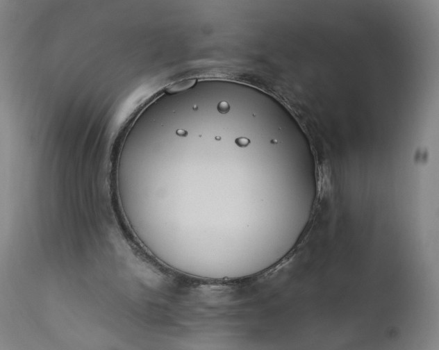 X0000110910150200907021443