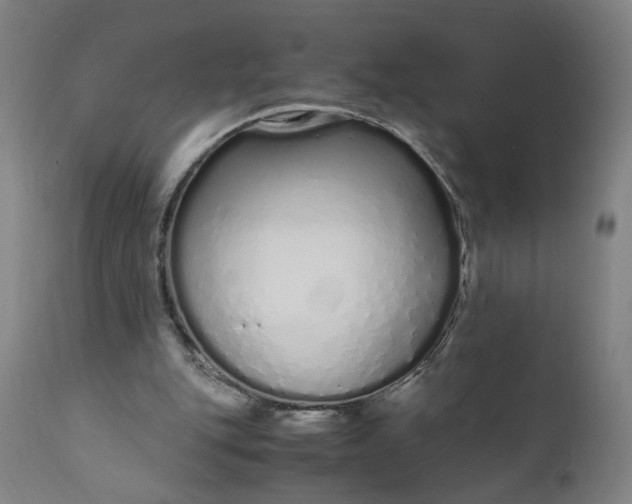 X0000110910151200907021443