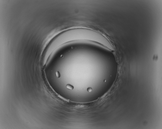 X0000110910152200907021443