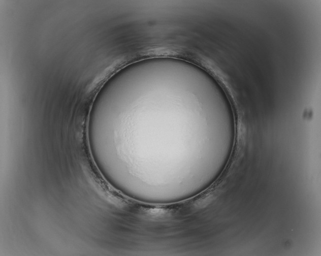 X0000110910153200907021443