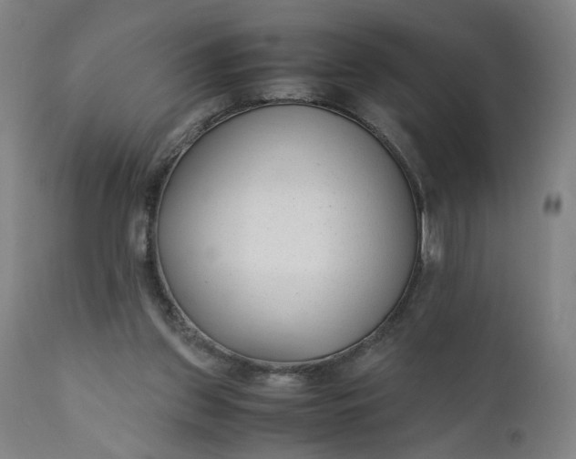 X0000110910157200907021443