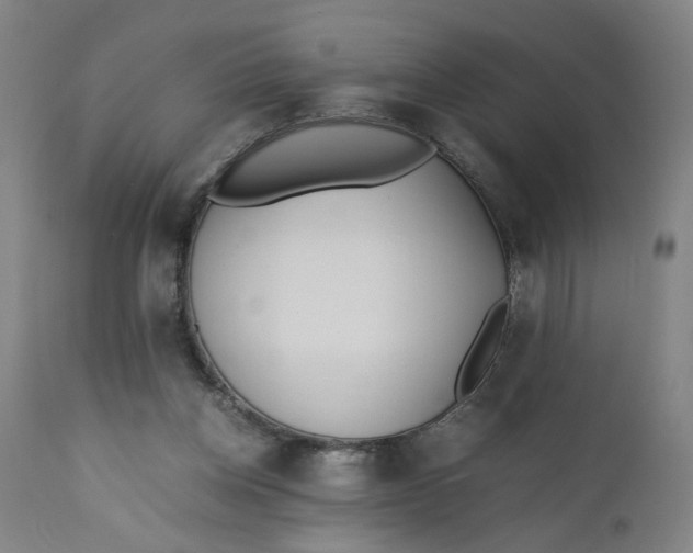 X0000110910158200907021443