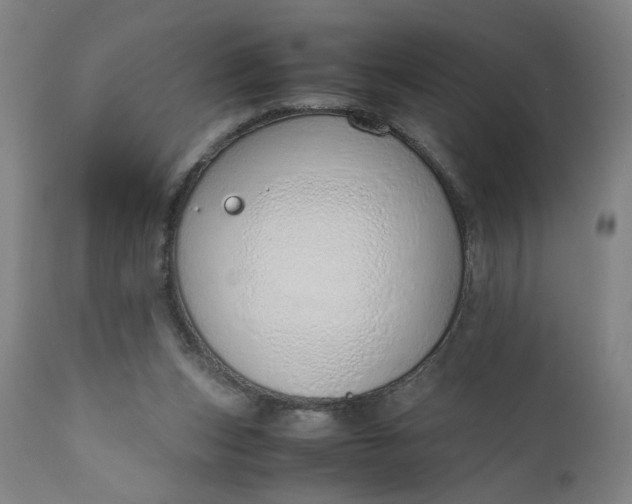 X0000110910159200907021443