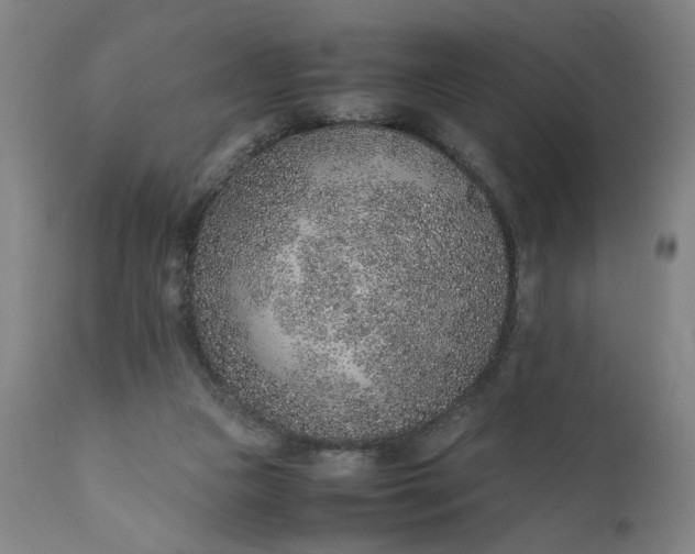 X0000110910161200907021443