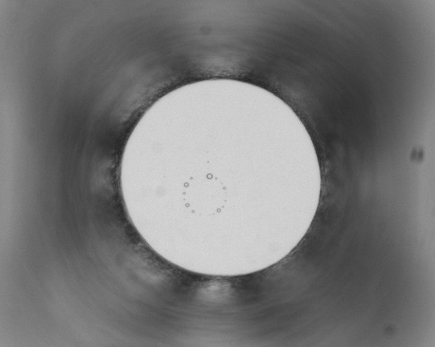 X0000110910162200907021443