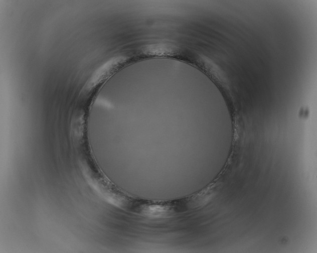 X0000110910163200907021443