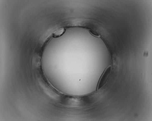 X0000110910164200907021443