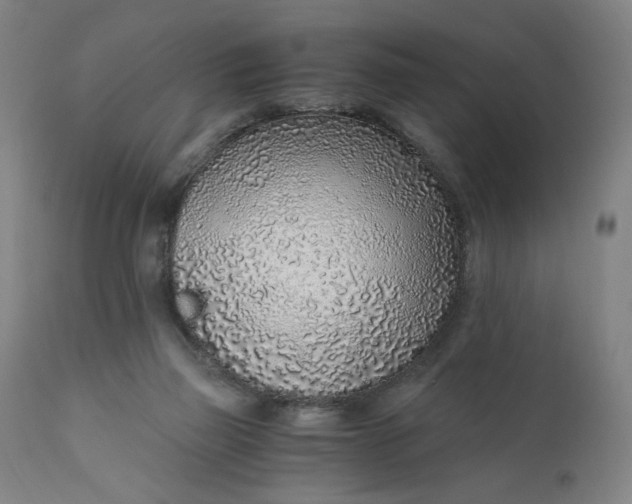 X0000110910165200907021443