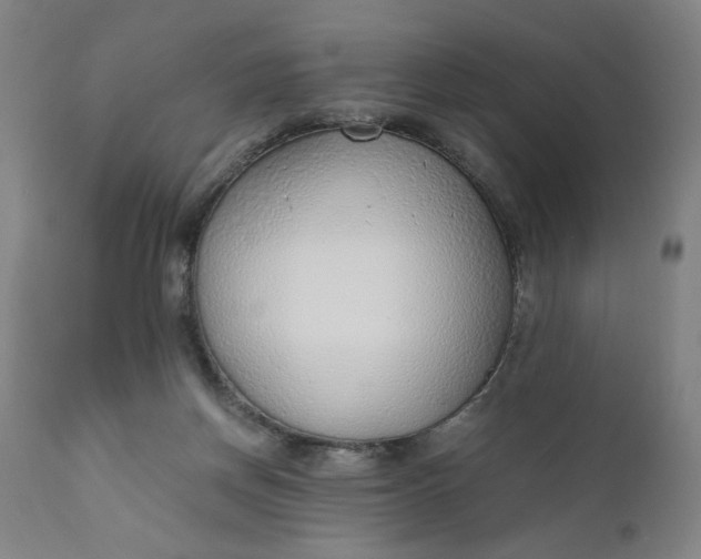 X0000110910166200907021443