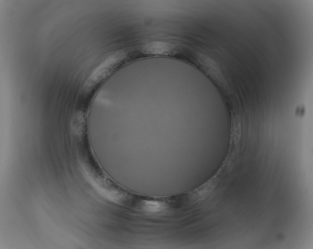 X0000110910167200907021443