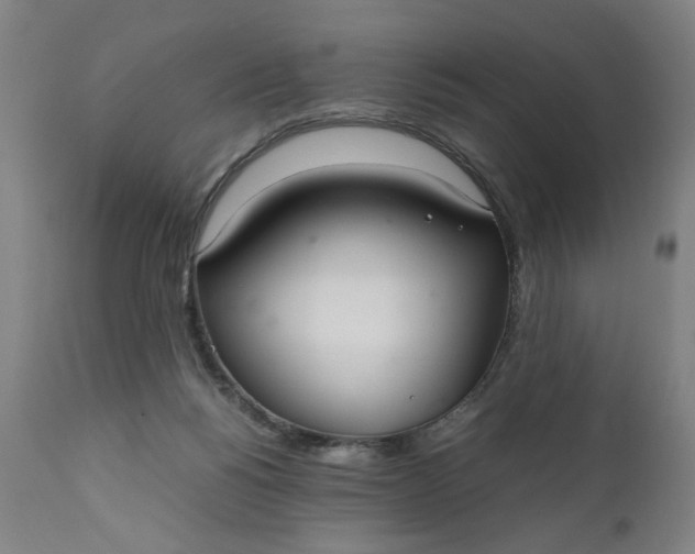 X0000110910168200907021443