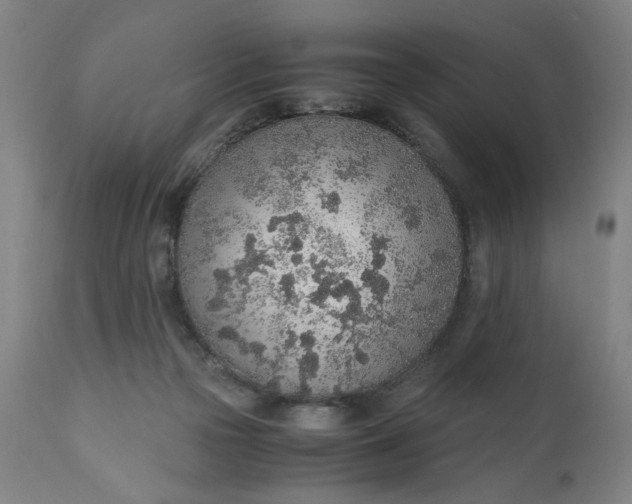 X0000110910169200907021443