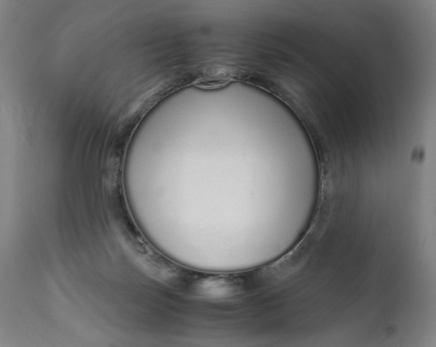 X0000110910171200907021443