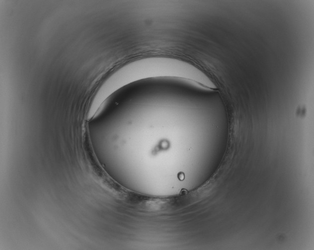 X0000110910172200907021443